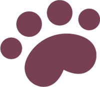 Home Veterinary